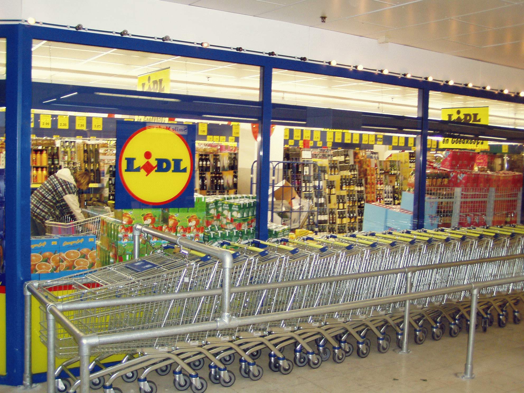 Lidl está a contratar pessoas em vários setores